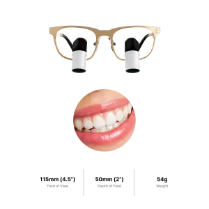 ErgoPrism TTL Loupes