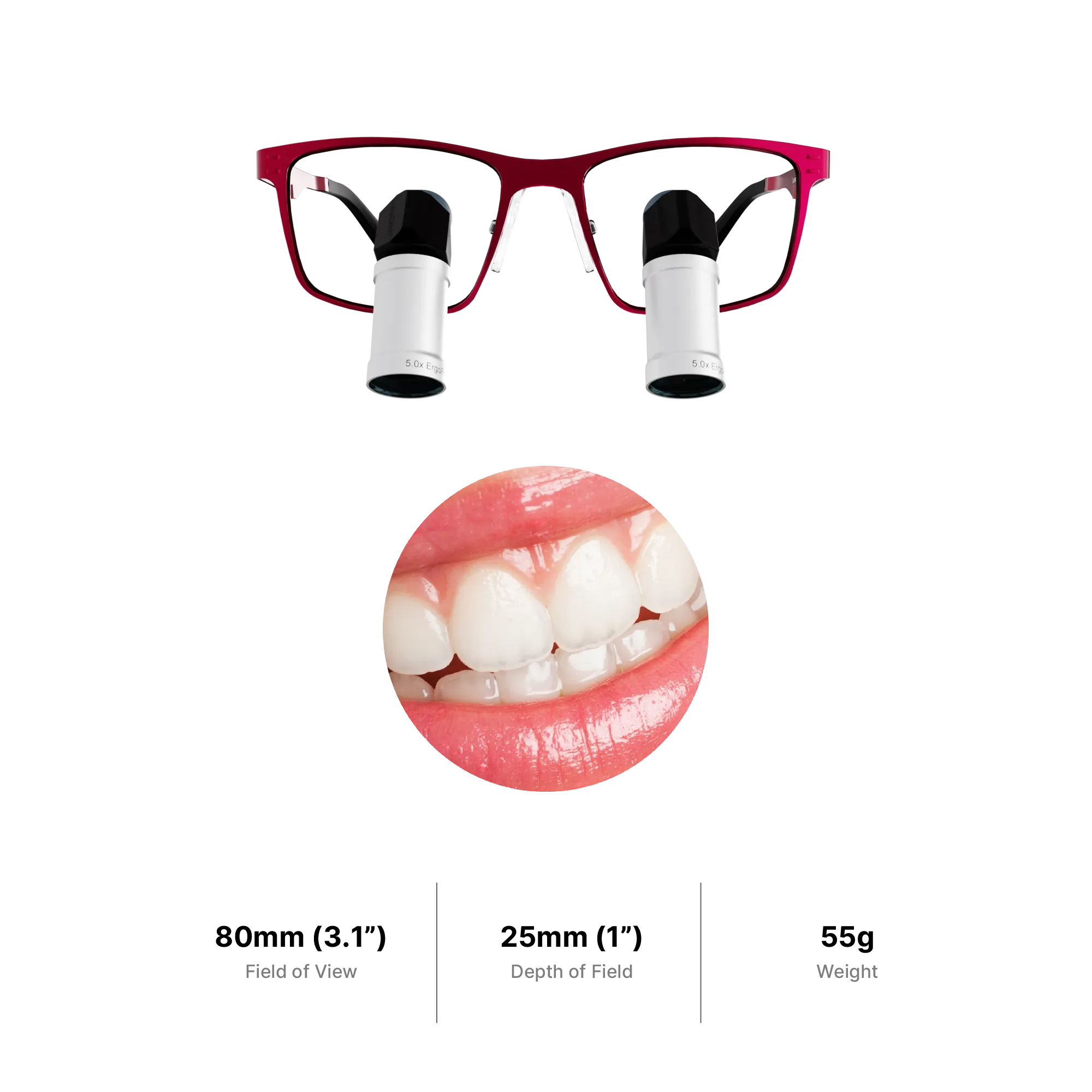 ErgoPrism TTL Loupes