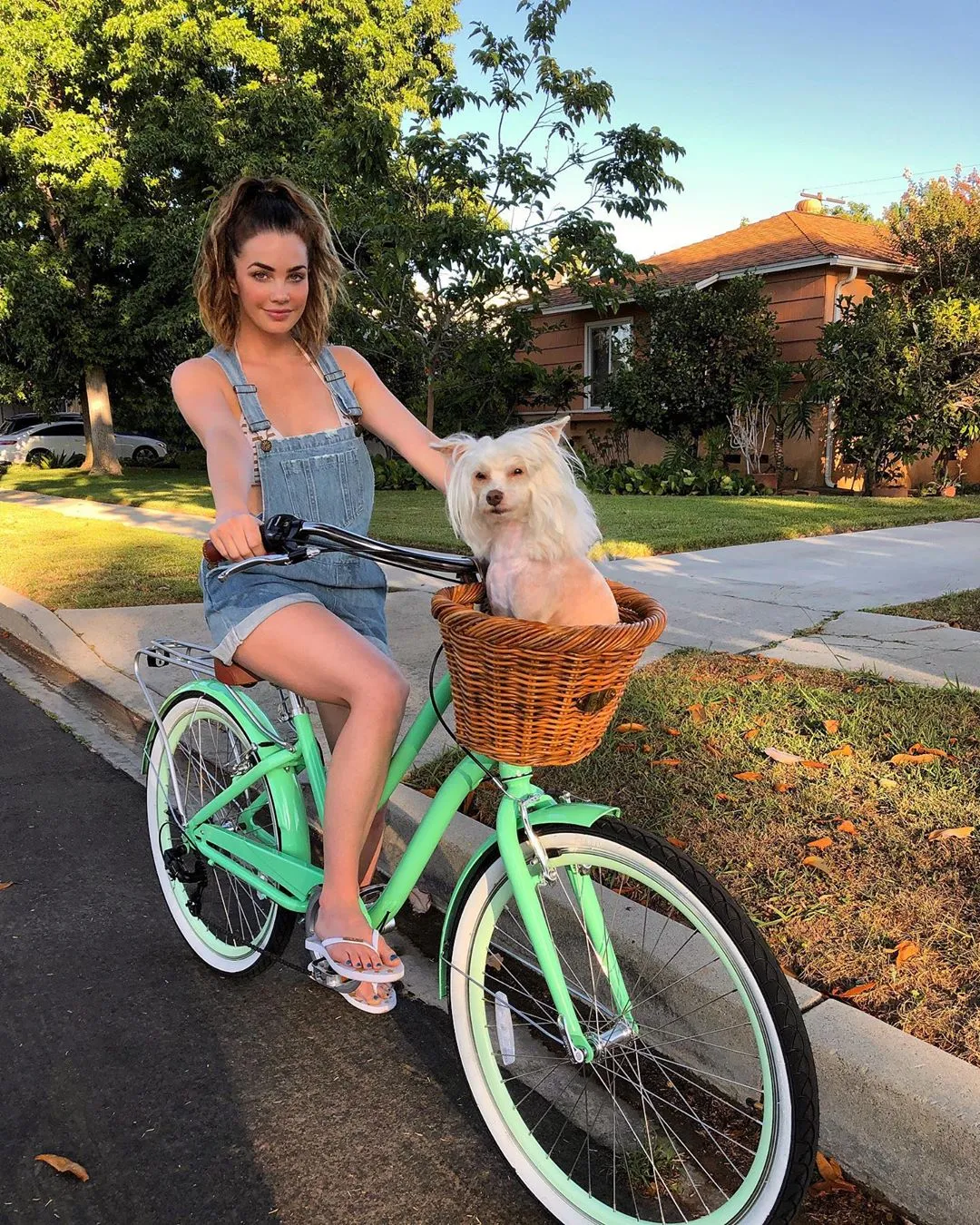 sixthreezero EVRYjourney Deluxe Women's 26" 7-Speed Touring Hybrid Bicycle w/ Integrated Lock, Basket, Light
