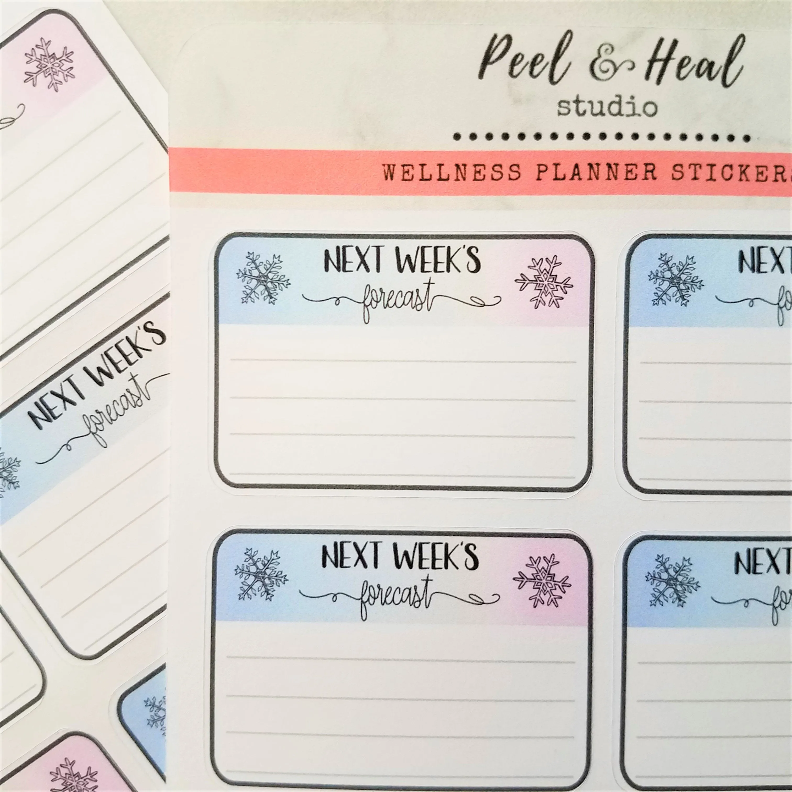 Winter Functional Planner Stickers: Next Week's Forecast
